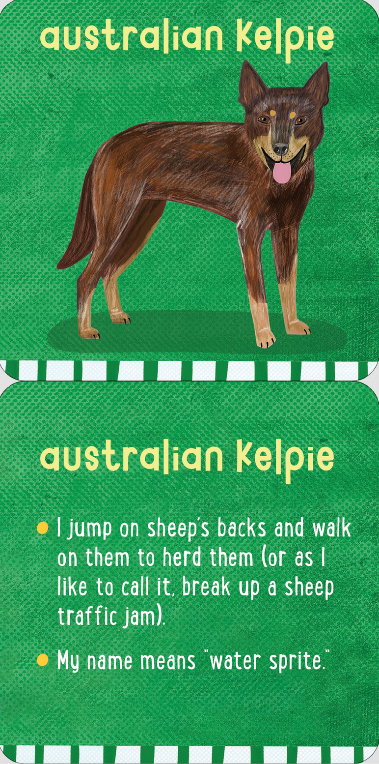 PTR All the Dogs Lunch Box Notes for Kids! (Set of 50 Cards)