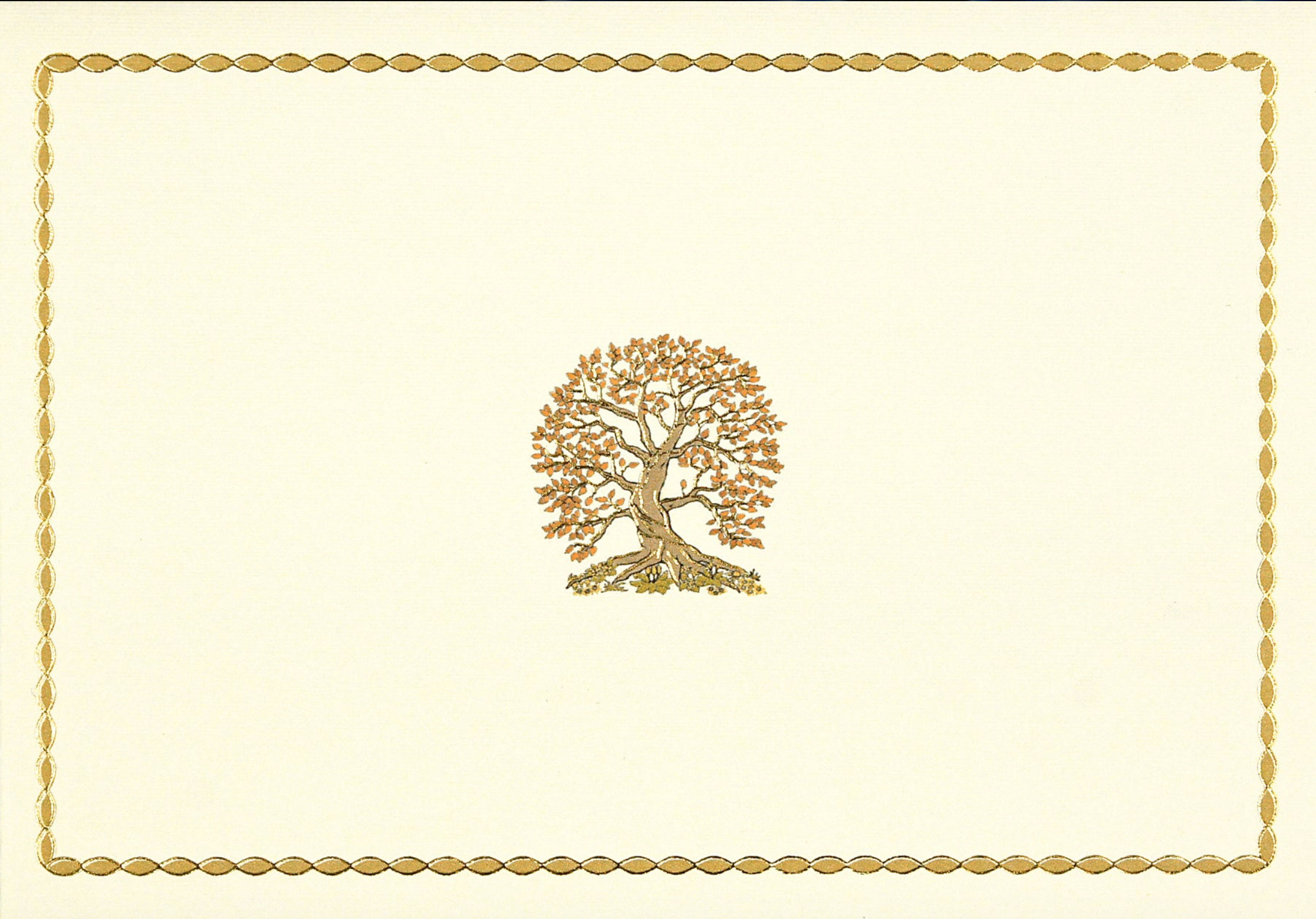 PTR Tree of Life Note Cards - Boxed Set