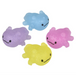 Gummy Axolotl (Single) - Random Color