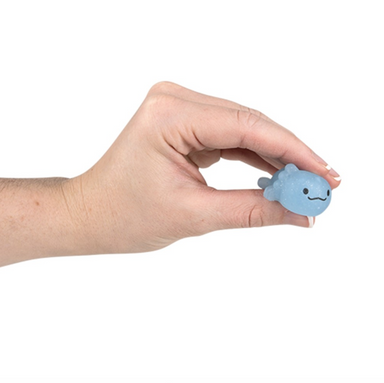 Gummy Axolotl (Single) - Random Color