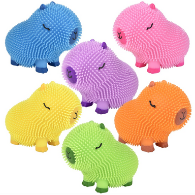 TTN Capybara Colorful Puffer (Single) - Random Color