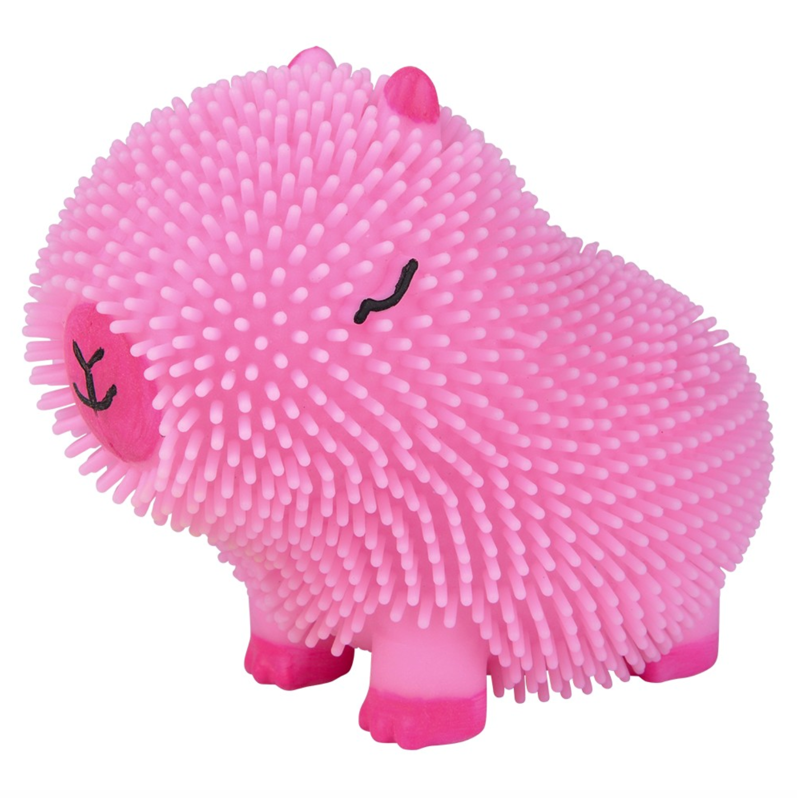 TTN Capybara Colorful Puffer (Single) - Random Color