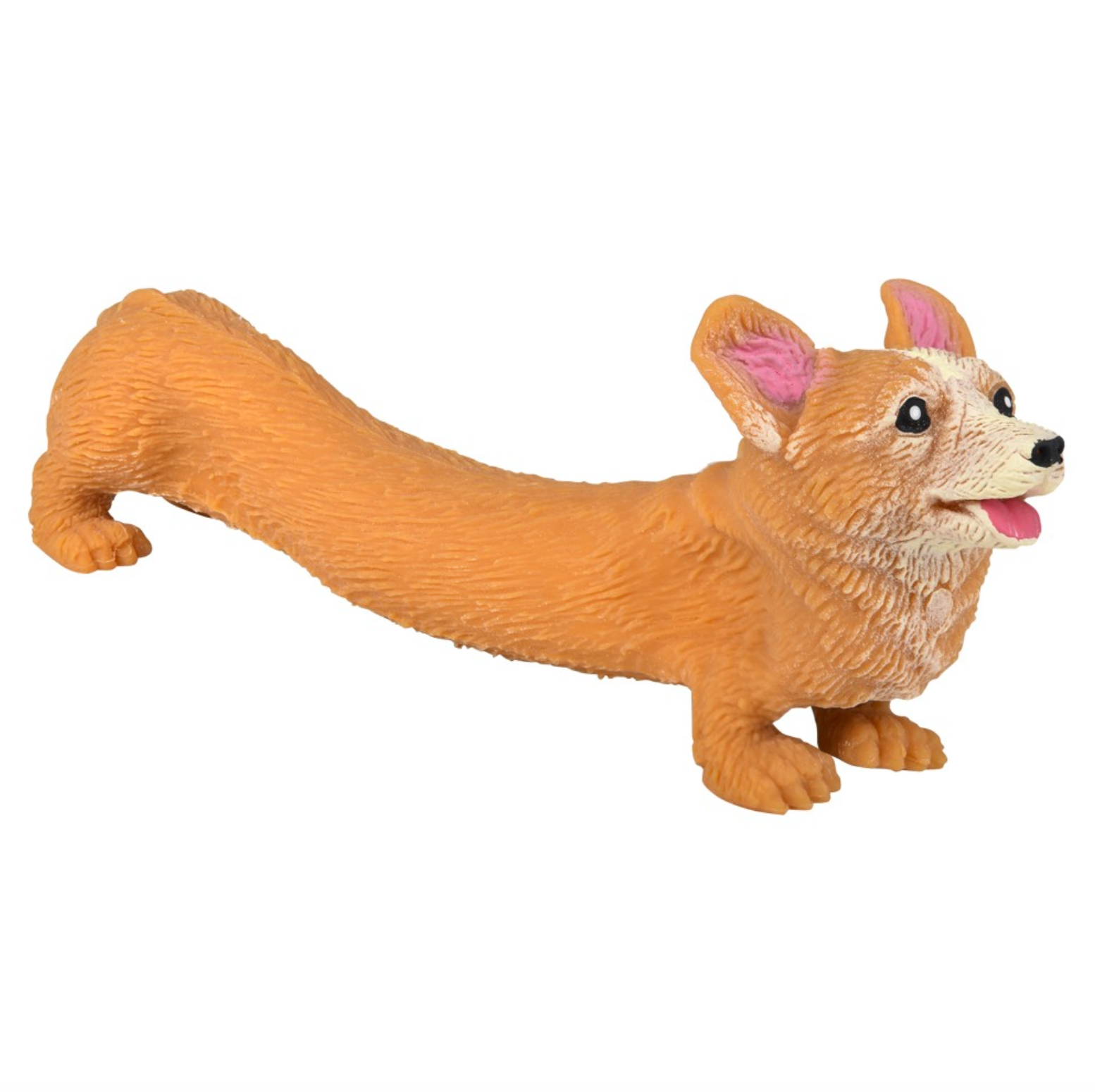 TTN Stretchy, Squish Corgi