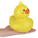 TTN Big Kawaii Animal Rubber Duckies (Single) - Random Color