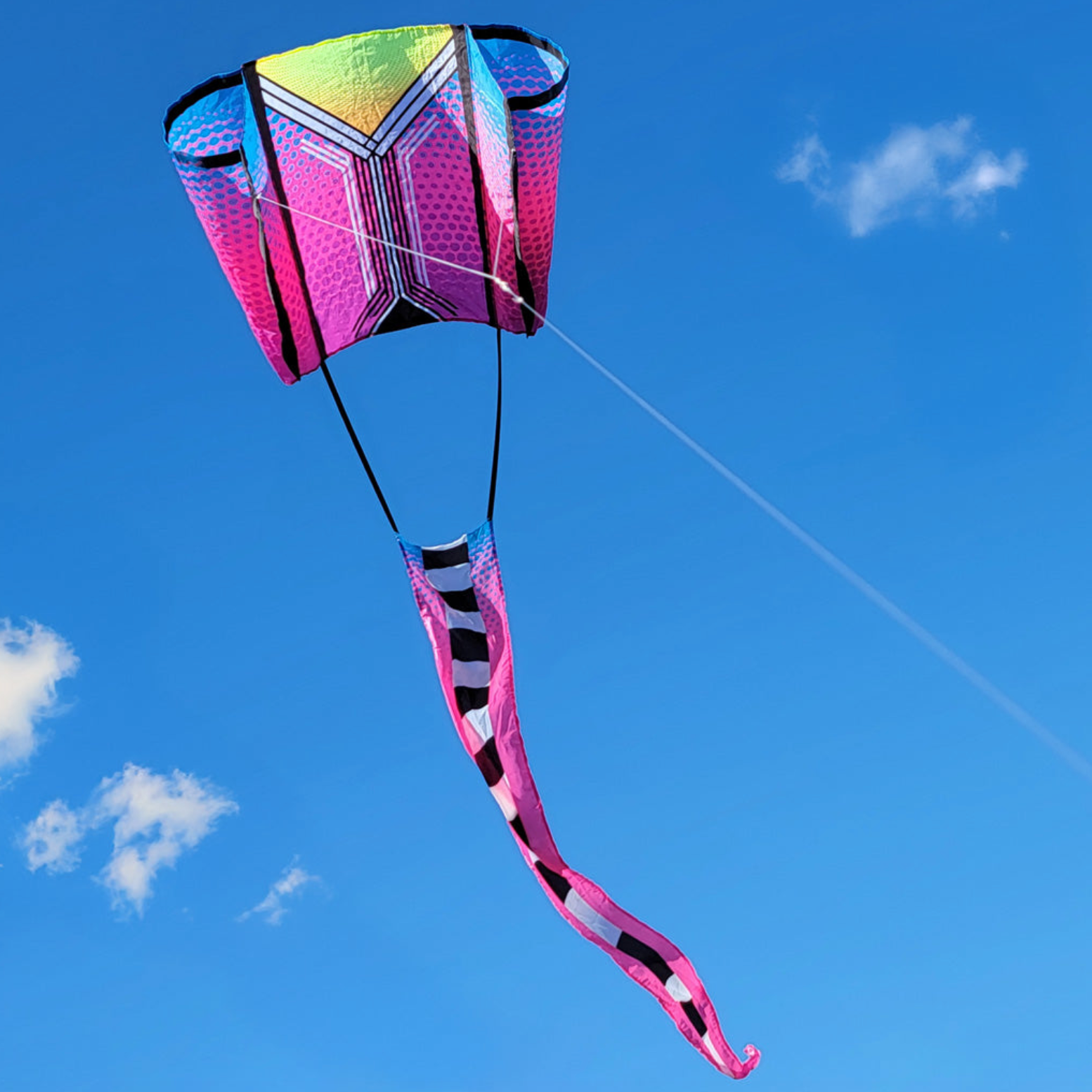 Purple Plum Aero Tech Power Sled 10 Kite