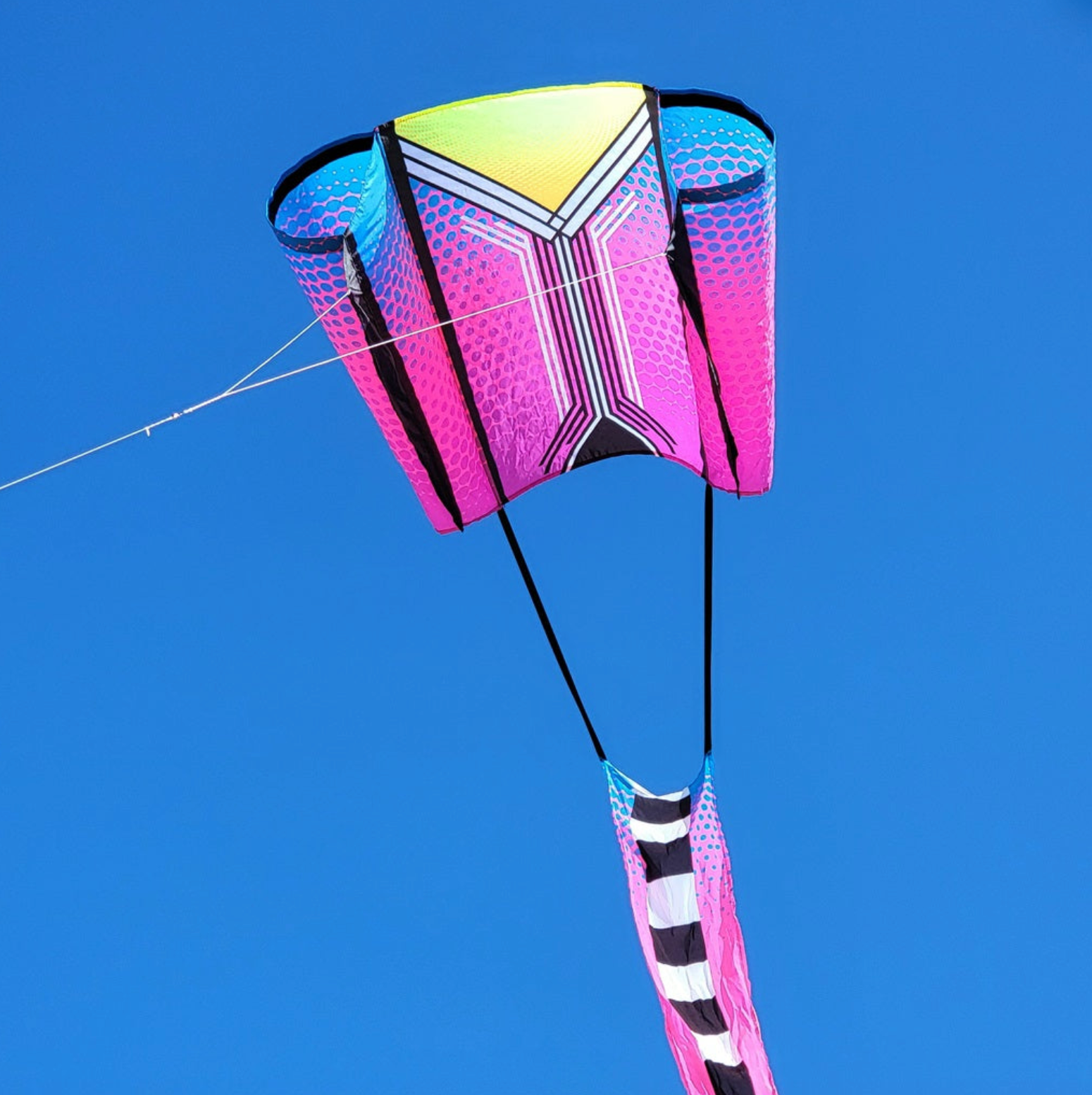 Purple Plum Aero Tech Power Sled 10 Kite