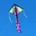 Tropical Neon Tech 46" Large Easy Flyer Kite