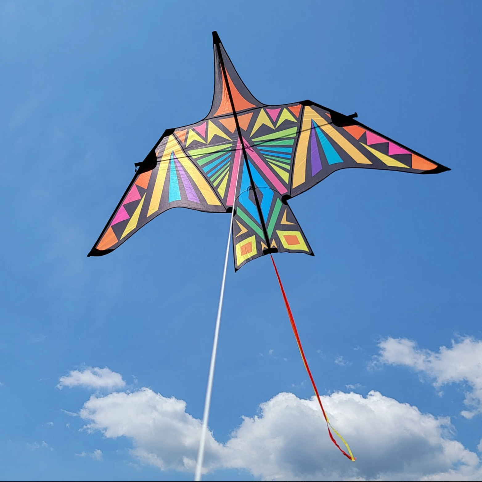 Geometric Rainbow 16' Thunderbird Kite