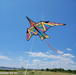 Geometric Rainbow 16' Thunderbird Kite