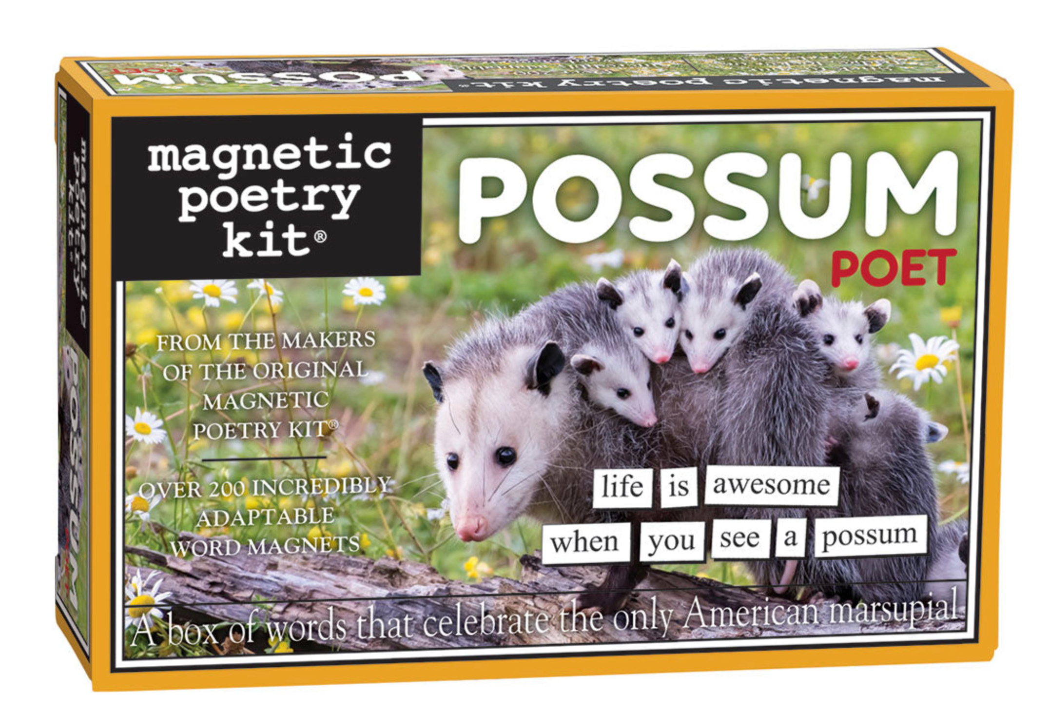 Magnetic Poetry Possum Poet