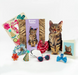 FRCC Brown Tabby Cat Pop-Up Card