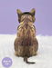 FRCC Brown Tabby Cat Pop-Up Card