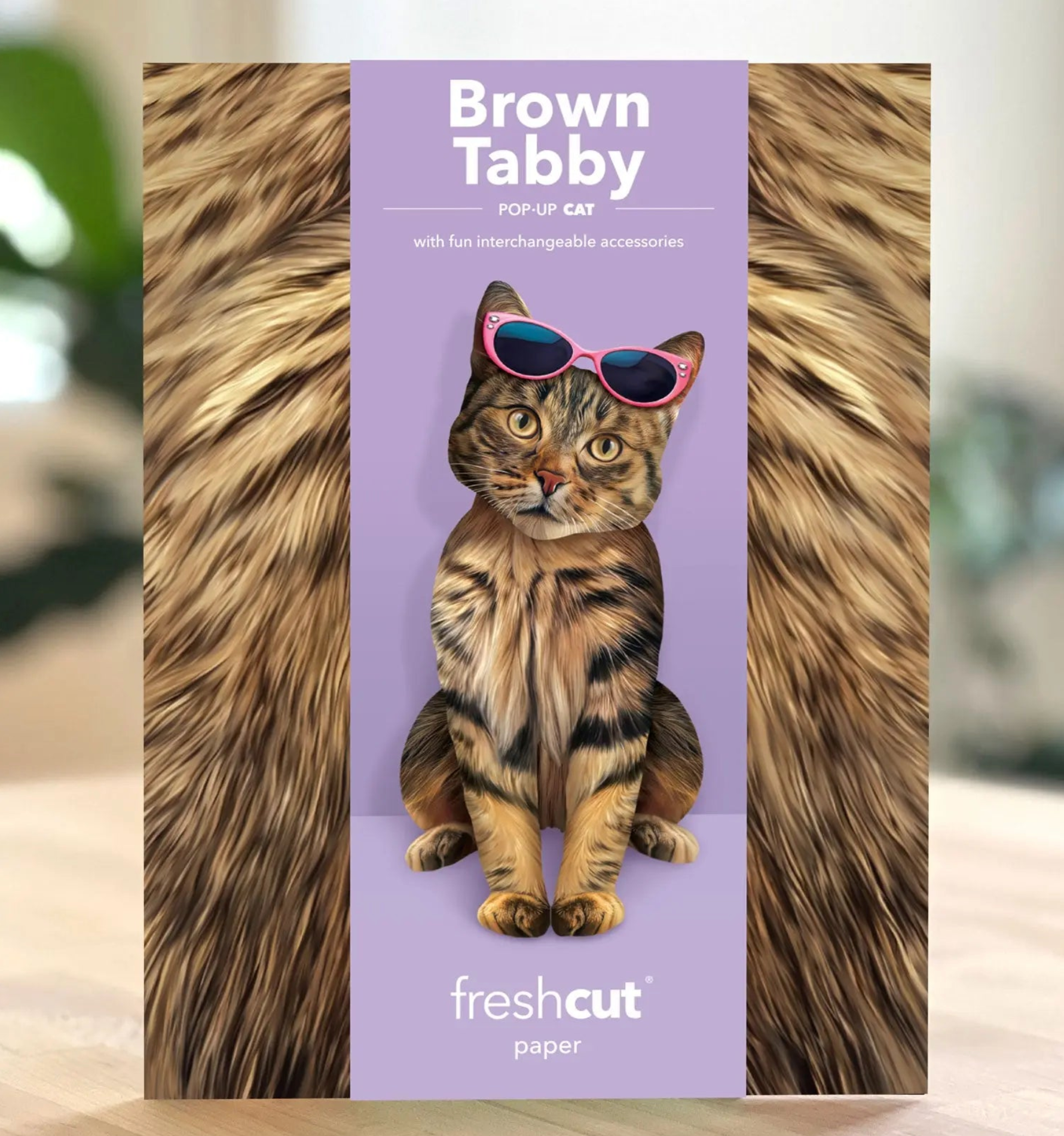 FRCC Brown Tabby Cat Pop-Up Card