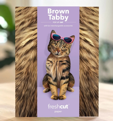 FRCC Brown Tabby Cat Pop-Up Card