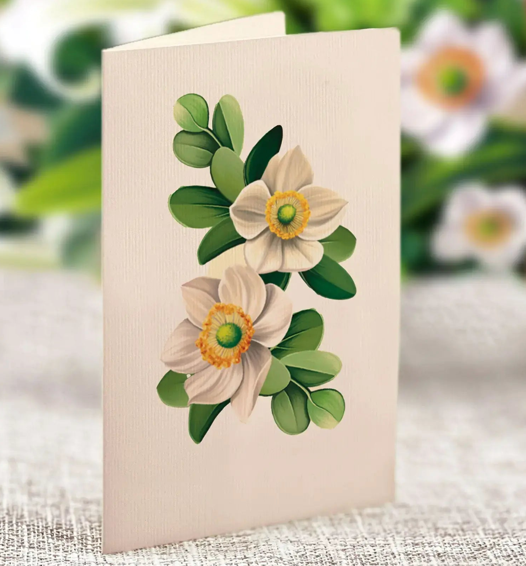 FRCC Ivory And Sage