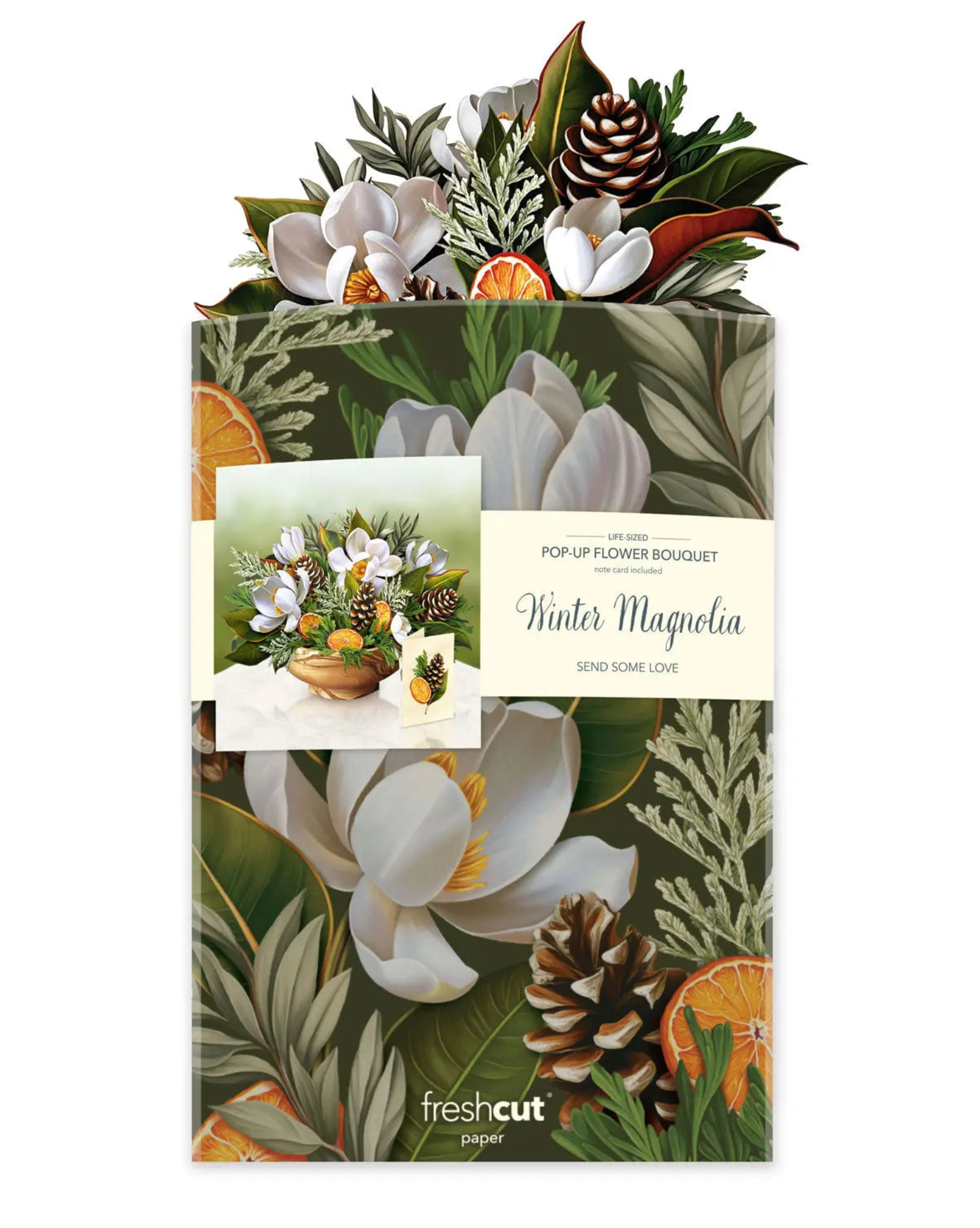 FRCC Winter Magnolia