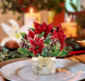 Birch Poinsettia Mini Pop Up Greeting Card