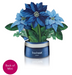 Blue Poinsettia Mini Pop Up Greeting Card