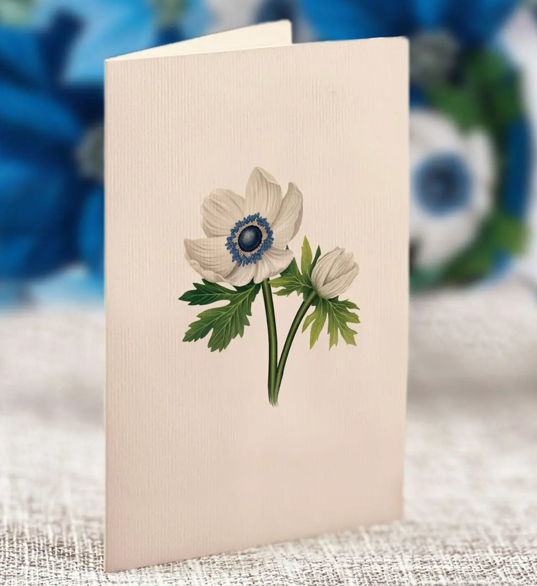 Blue Poinsettia Mini Pop Up Greeting Card