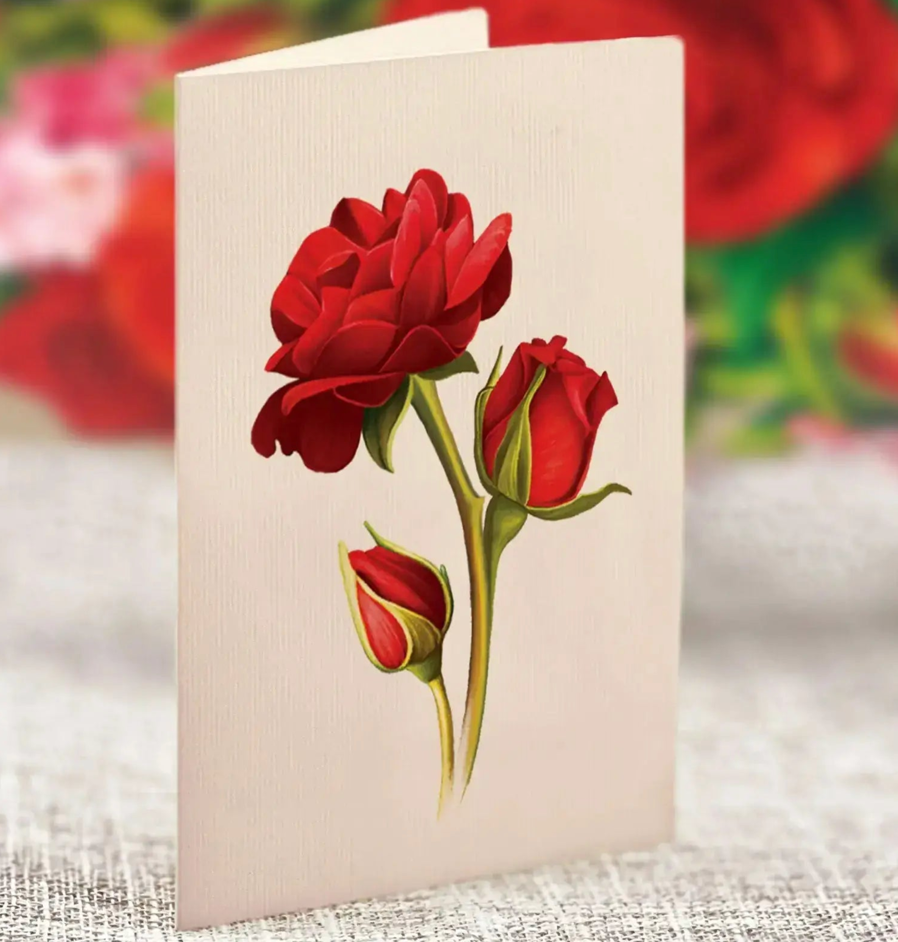 FRCC Mini Blooming Roses