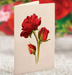 FRCC Mini Blooming Roses