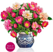 FRCC Grande Peony Paradise