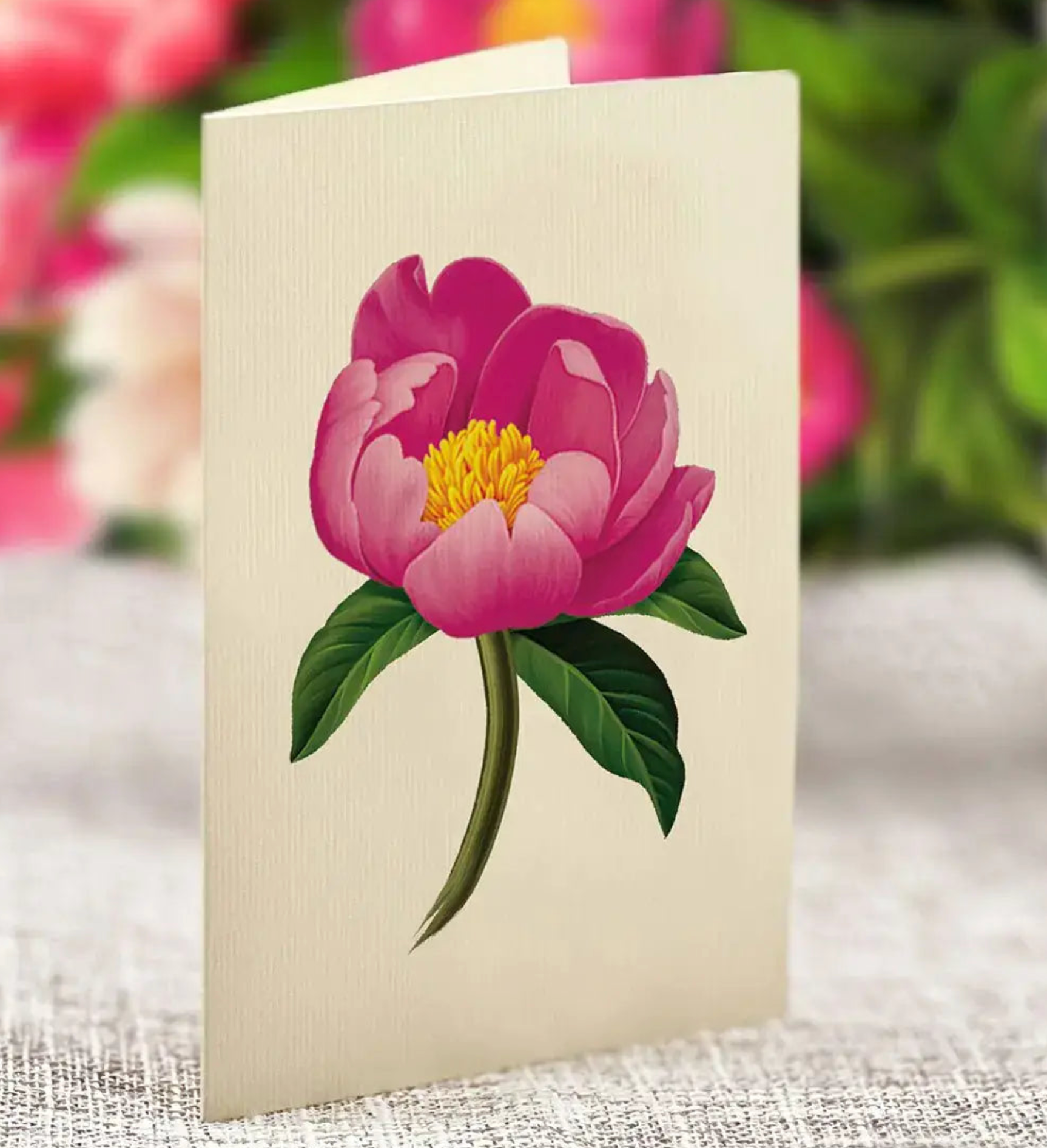 FRCC Grande Peony Paradise