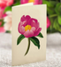 FRCC Grande Peony Paradise
