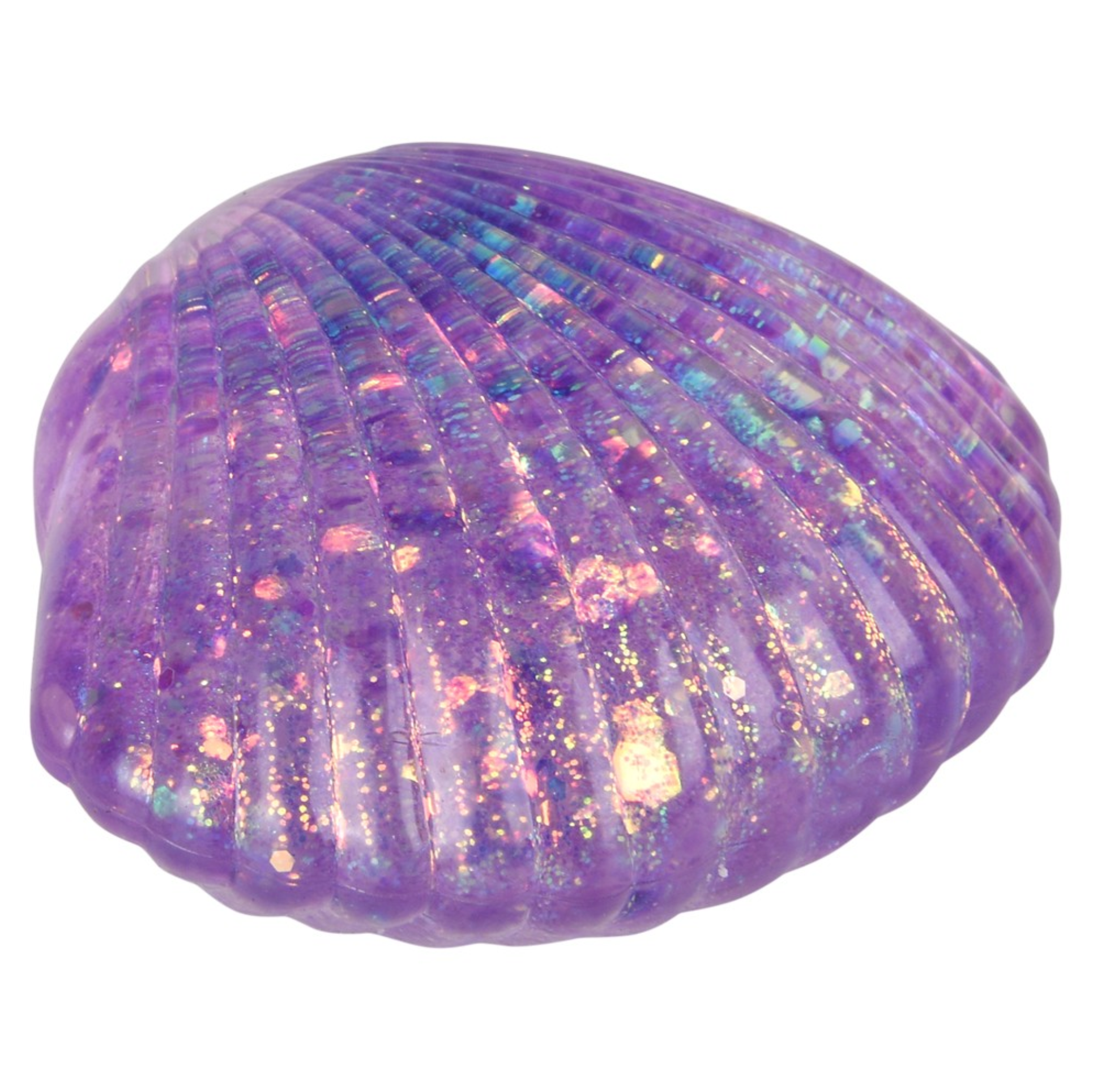 TTN 2.25" Squeezy Sugar Sea Shell (Single) - Random Color