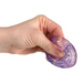 TTN 2.25" Squeezy Sugar Sea Shell (Single) - Random Color