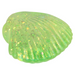 TTN 3.5" Squeezy Sugar Sea Shell (Single) - Random Color