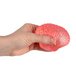 TTN 3.5" Squeezy Sugar Sea Shell (Single) - Random Color