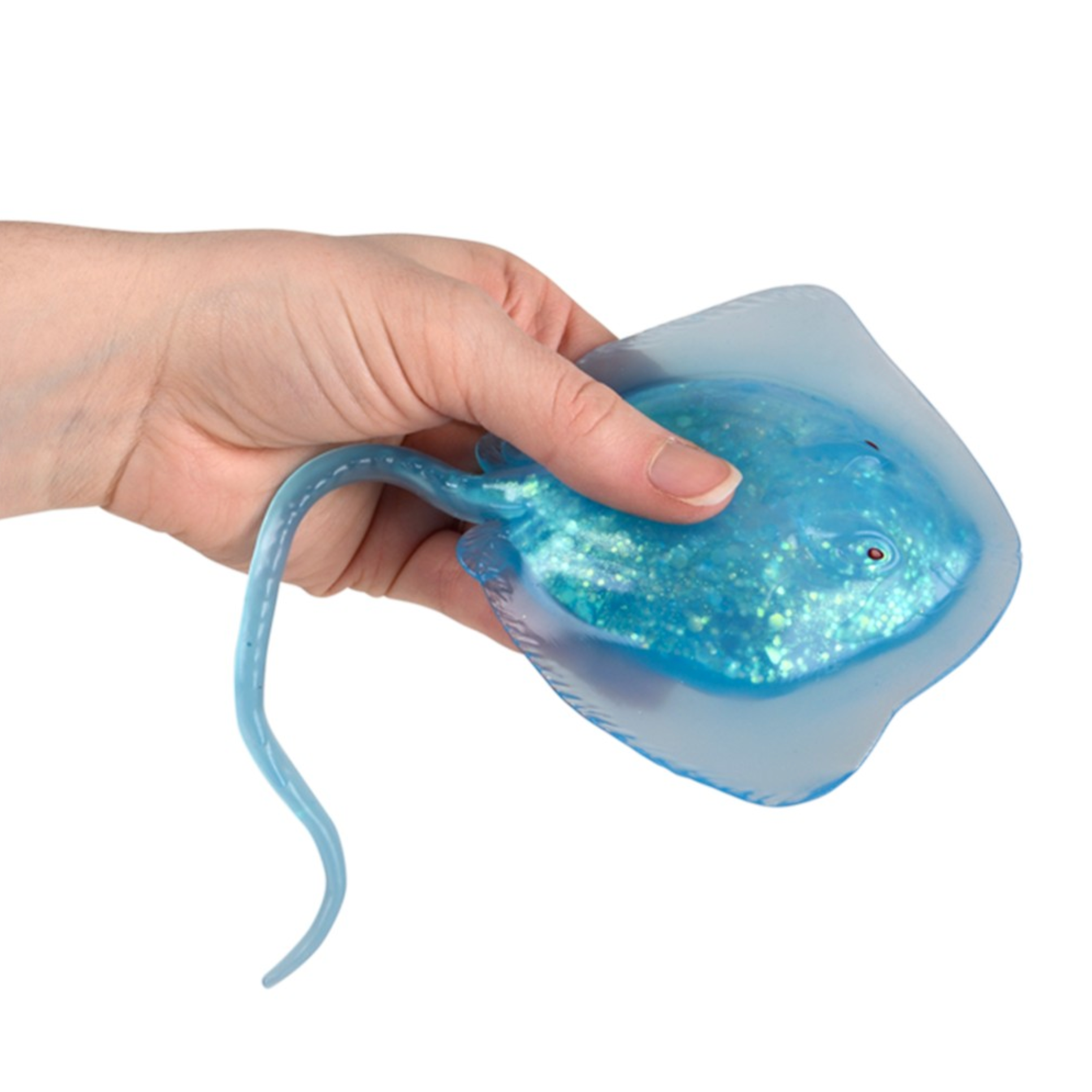 Sugar Squeeze Stingray (Single) - Random Color