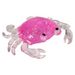 TTN 5" Squeezy Sugar Crab (Single) - Random Color