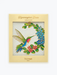 FRCC Hummingbird Oasis Suncatcher