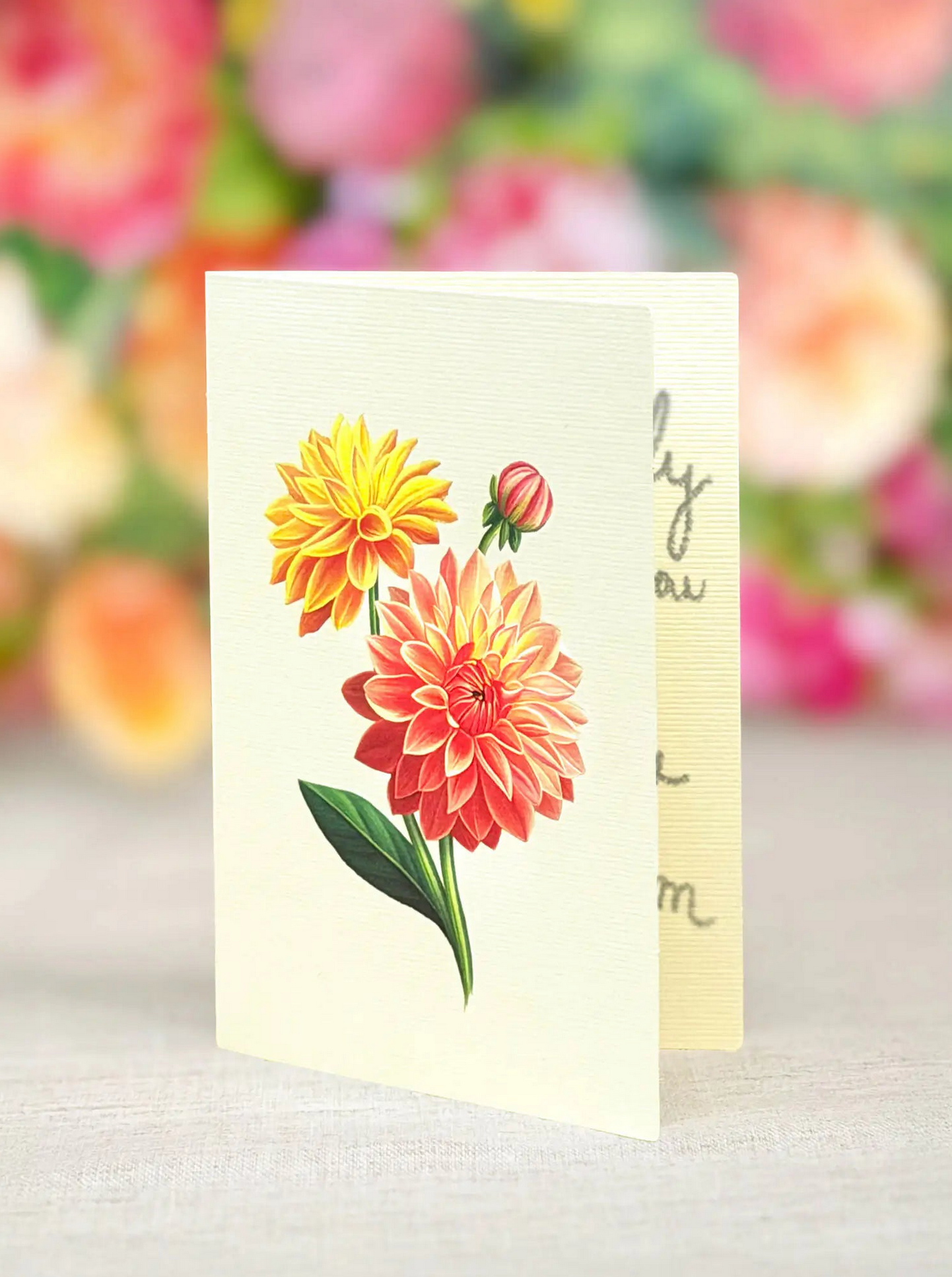 FRCC Mini Dahlia Sunrise Bouquet
