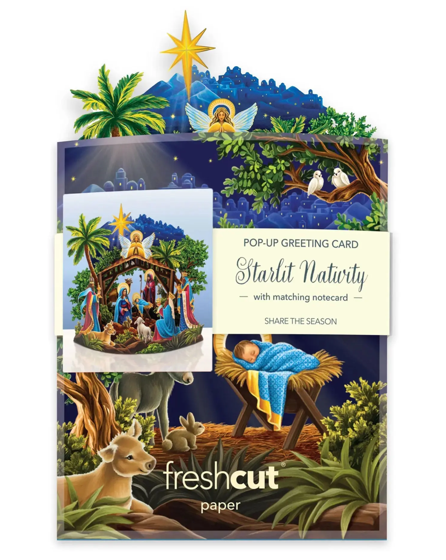 FRCC Mini Starlit Nativity