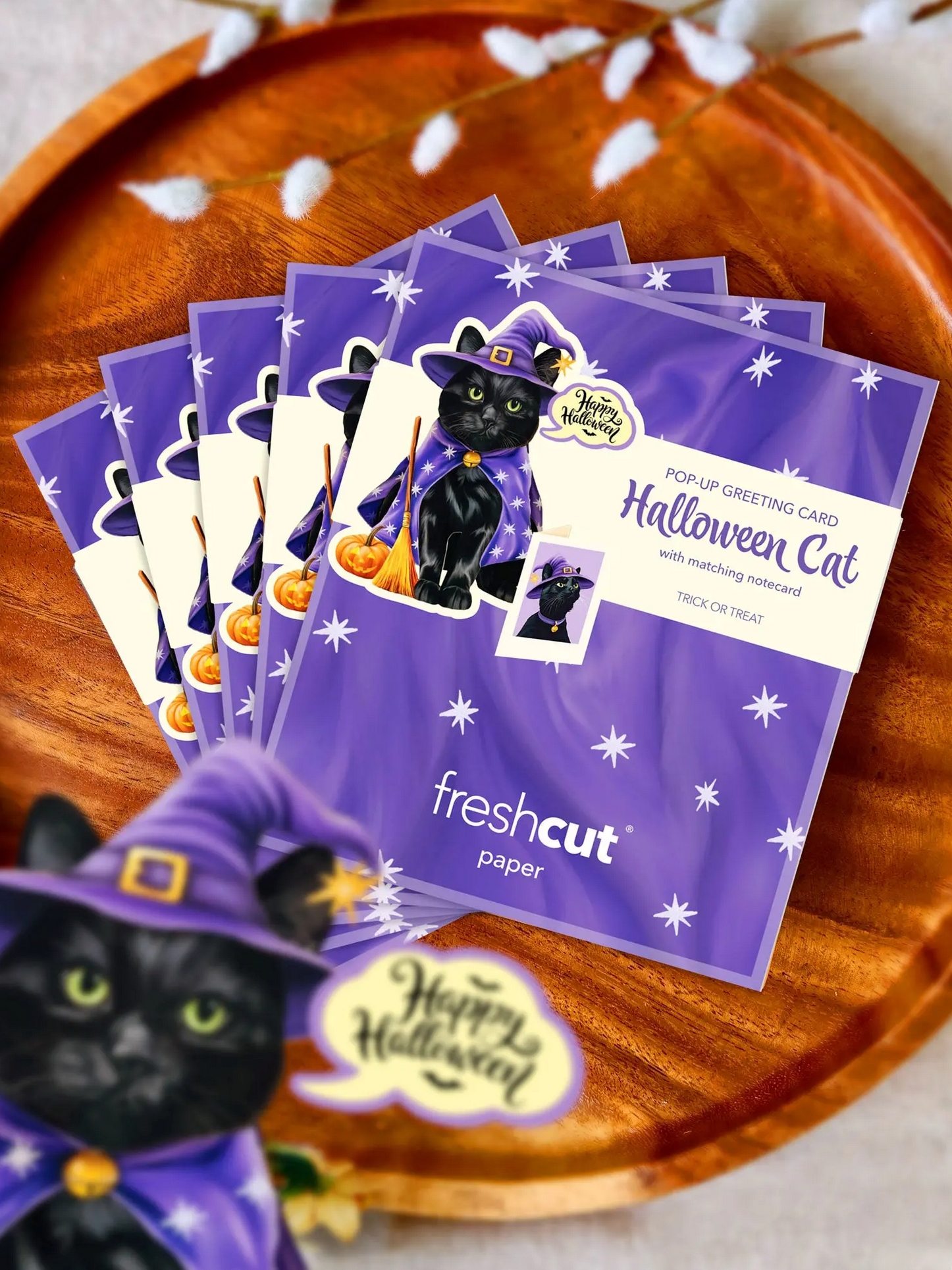 FRCC Mini Halloween Cat