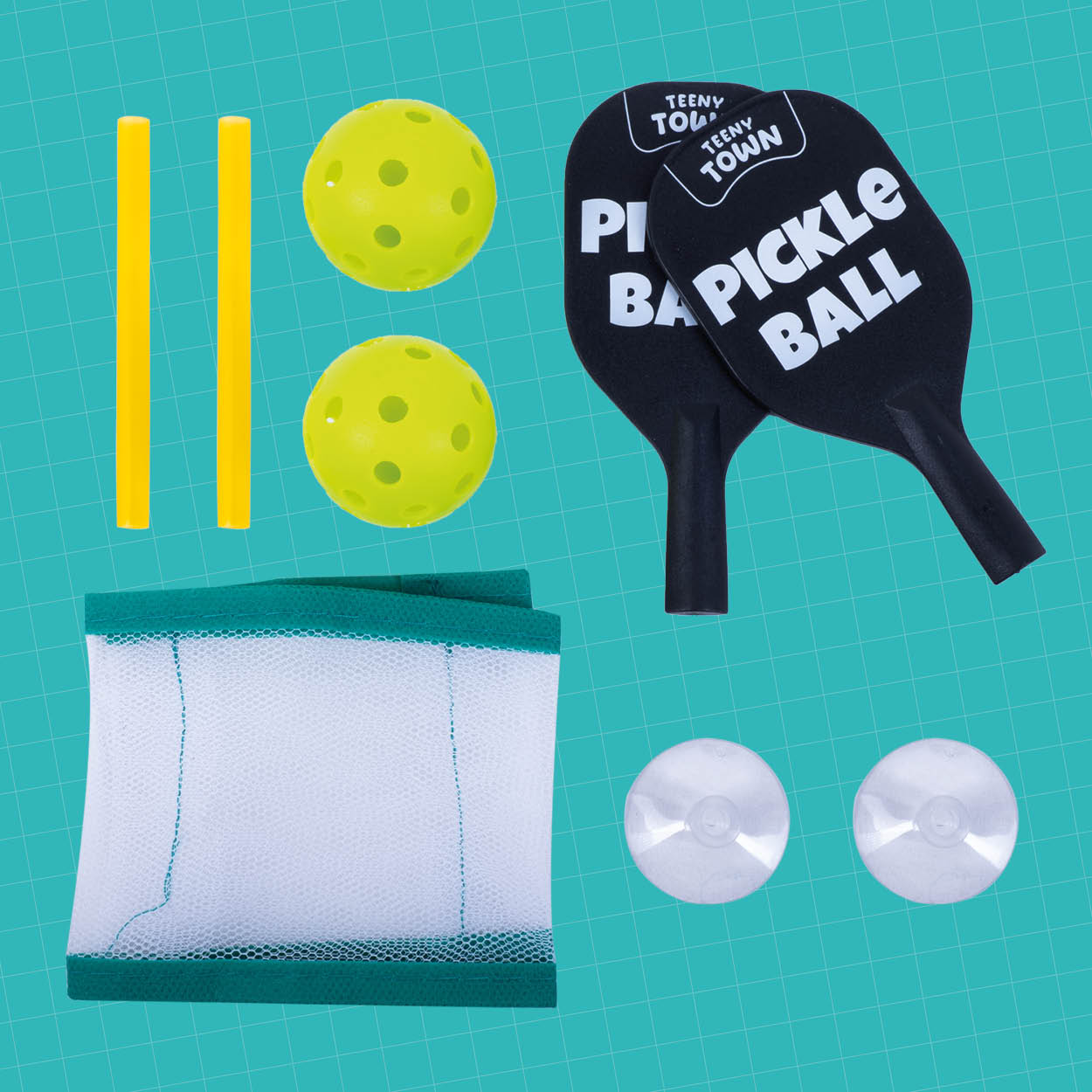 Probably The Worlds Smallest Pickle Ball Game