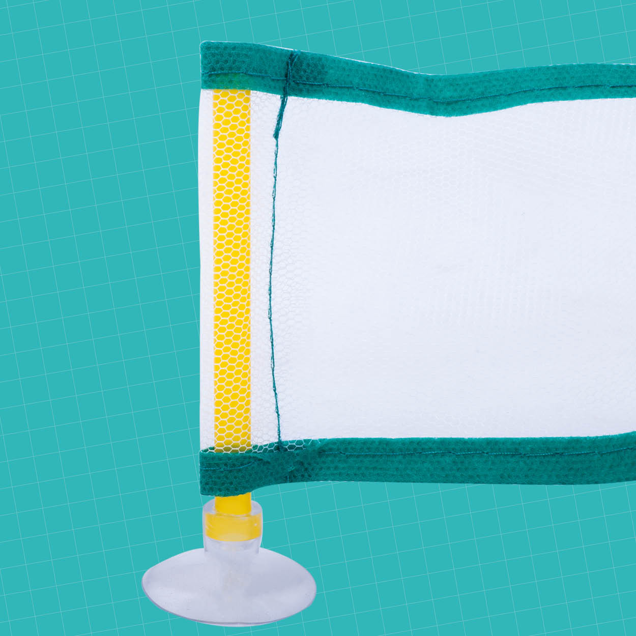 Probably The Worlds Smallest Pickle Ball Game