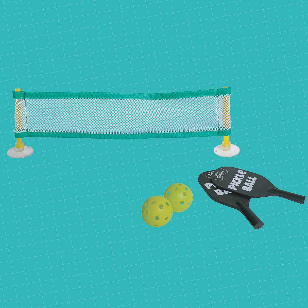 Probably The Worlds Smallest Pickle Ball Game