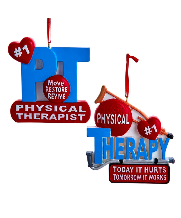 Physical Therapist Ornament - Single, Various Styles