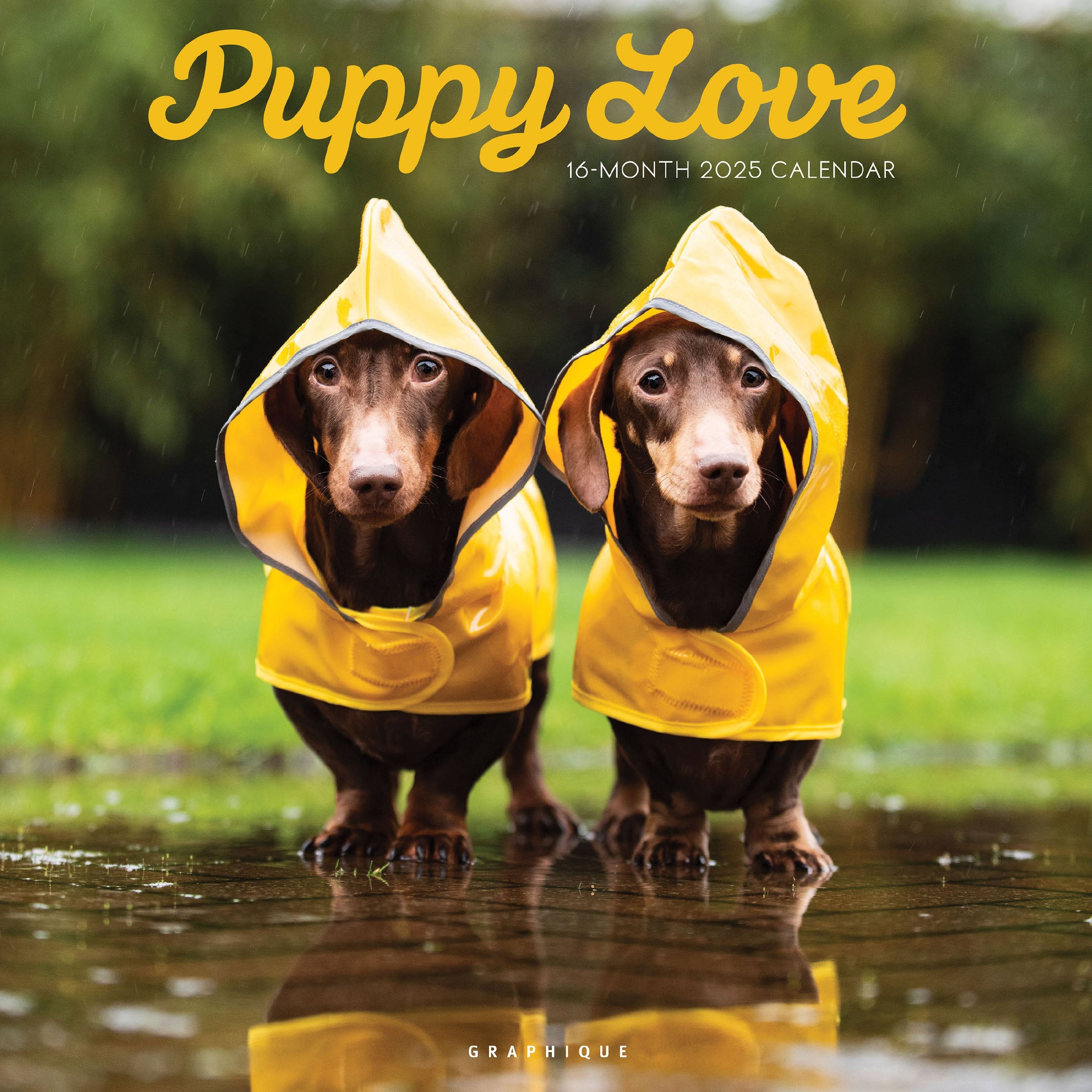 Puppy Love 2025 Wall Calendar    