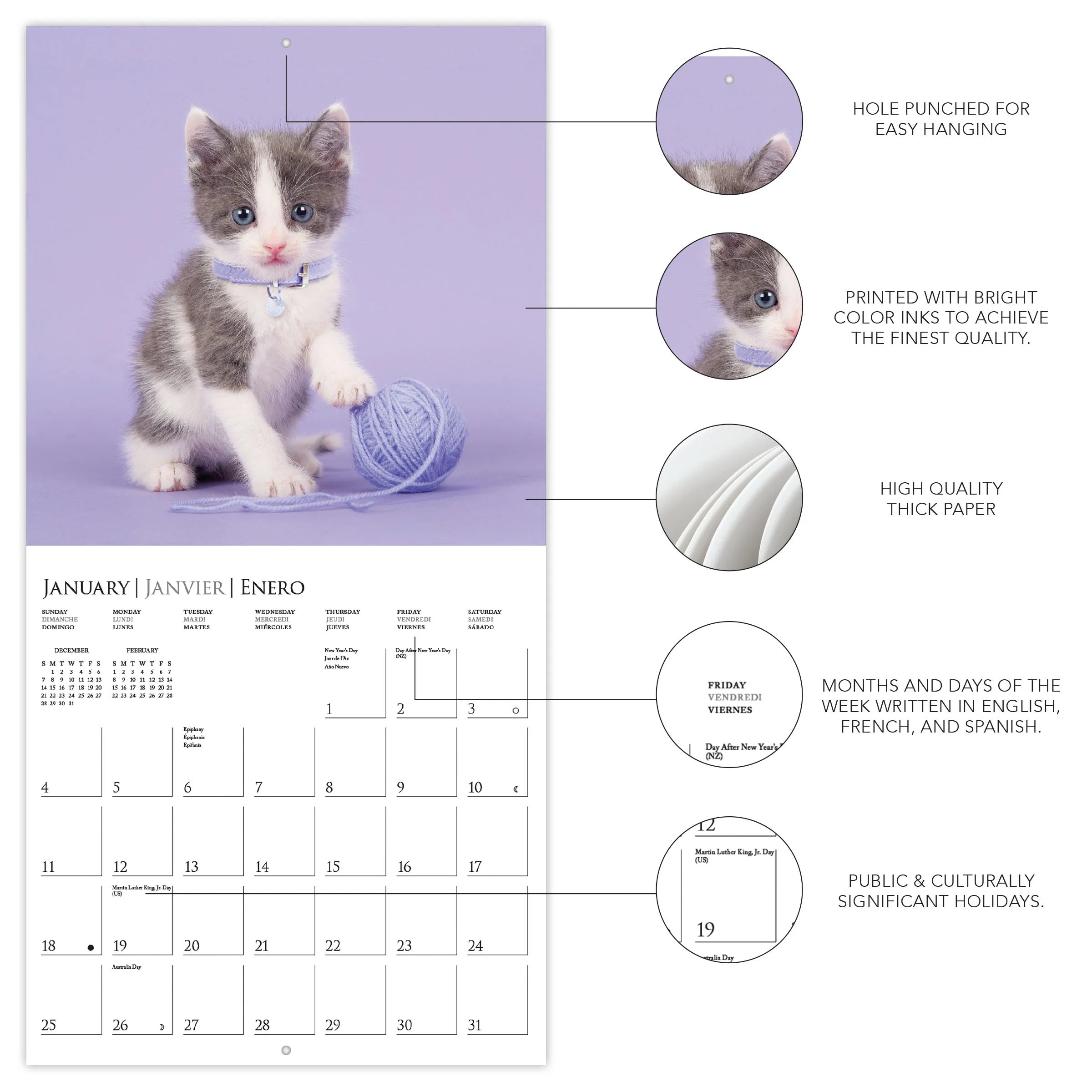 Cute Kittens 2026 Wall Calendar
