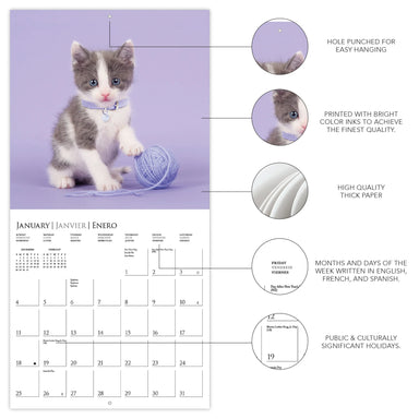 Cute Kittens 2026 Wall Calendar