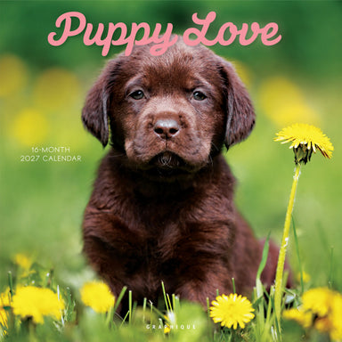 GRPH Puppy Love 2027 Wall Calendar