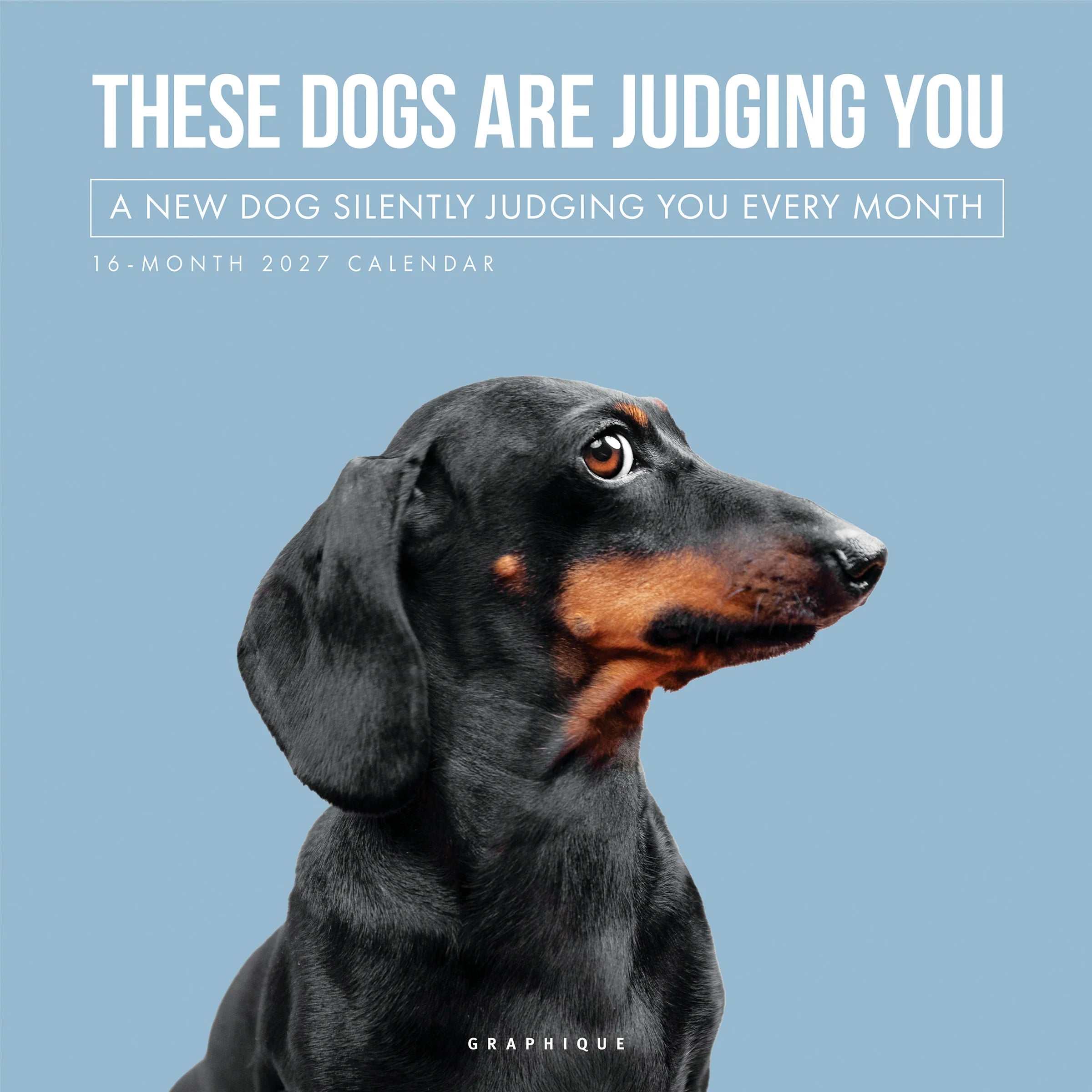 GRPH Judgmental Dogs 2027 Wall Calendar