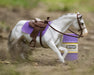 BRYR Barrel Racing Set