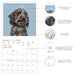 These Dogs Are Judging You 2026 Wall Calendar