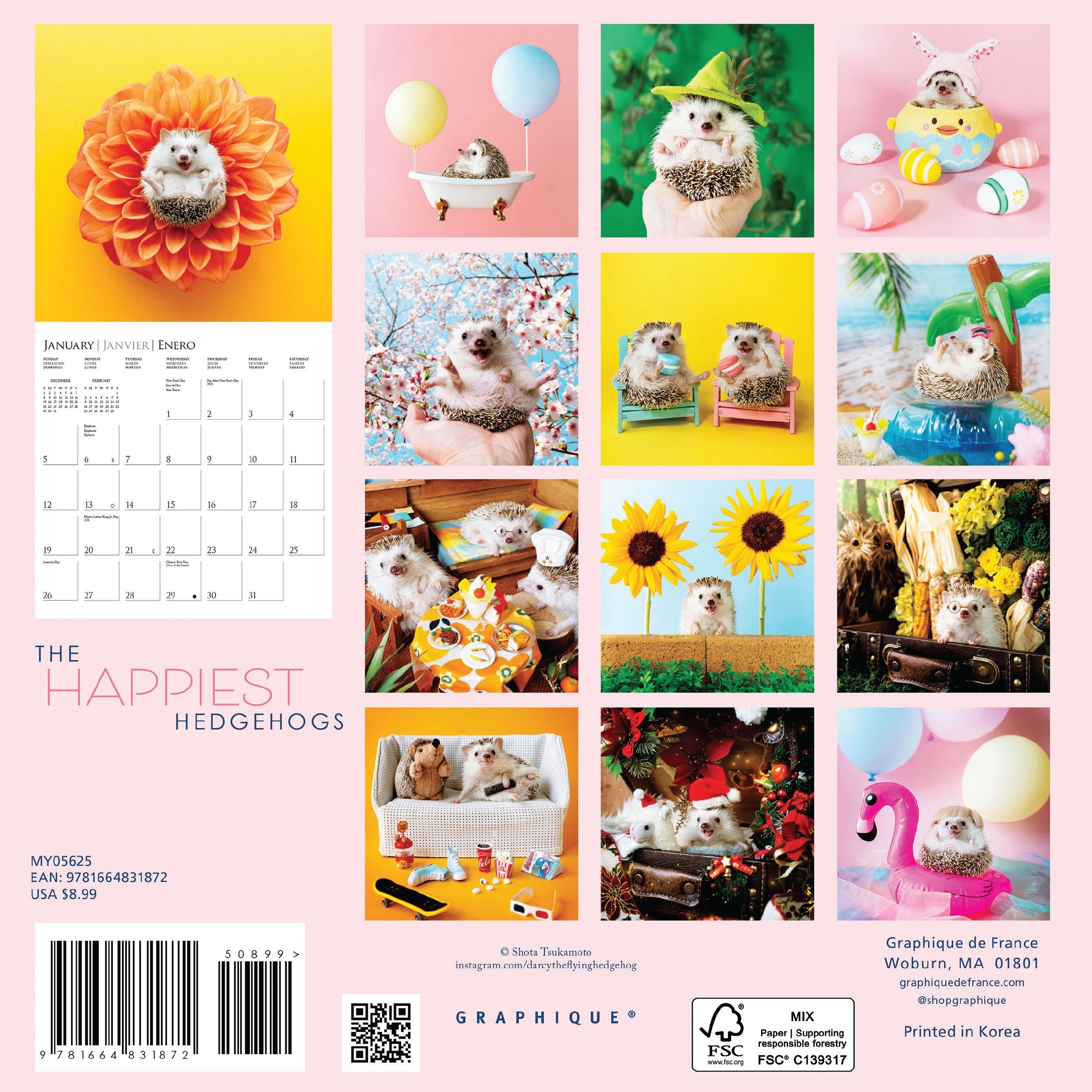 Happiest Hedgehog 2025 Mini Wall Calendar    